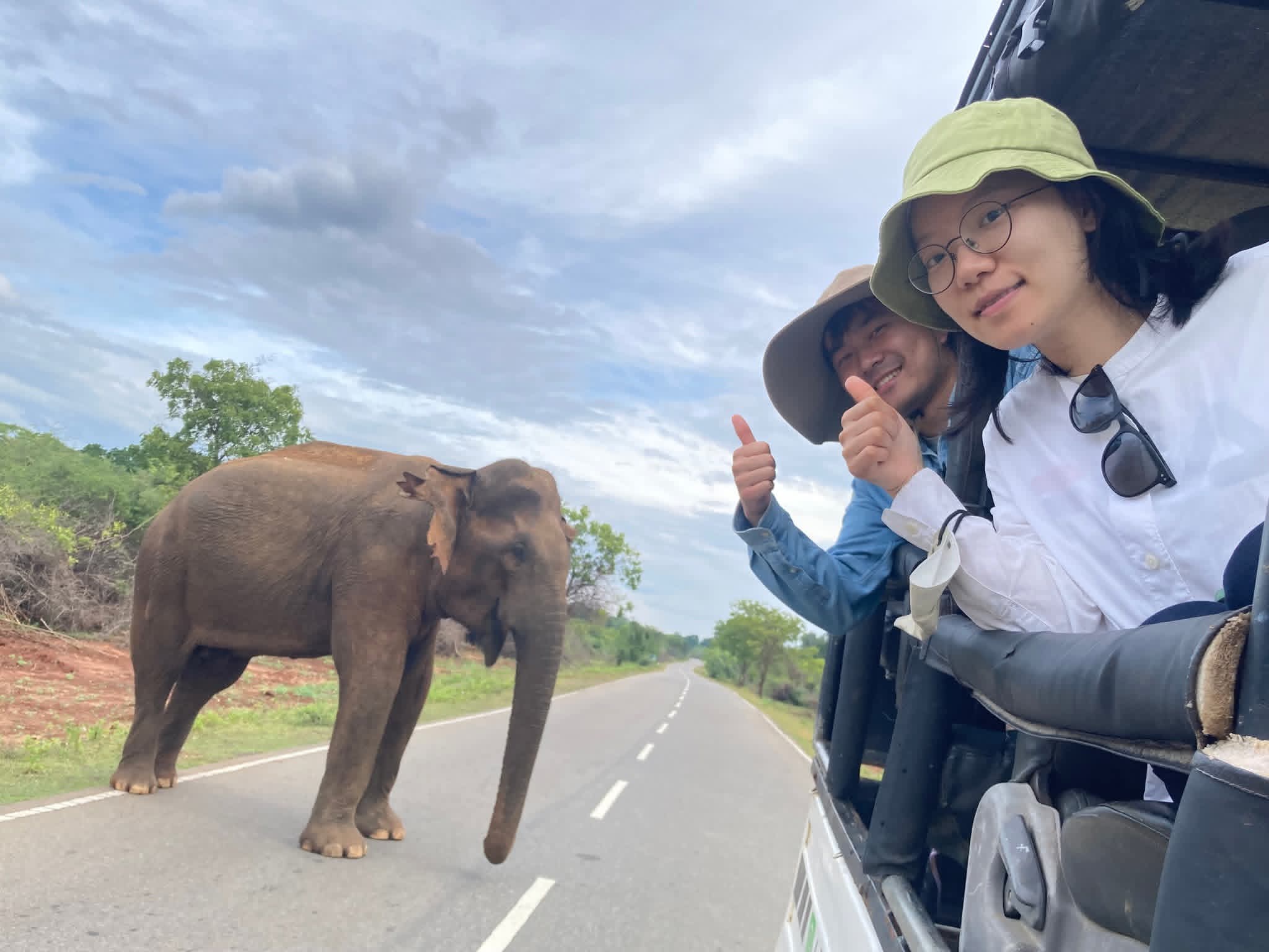 Yala National Park Safari