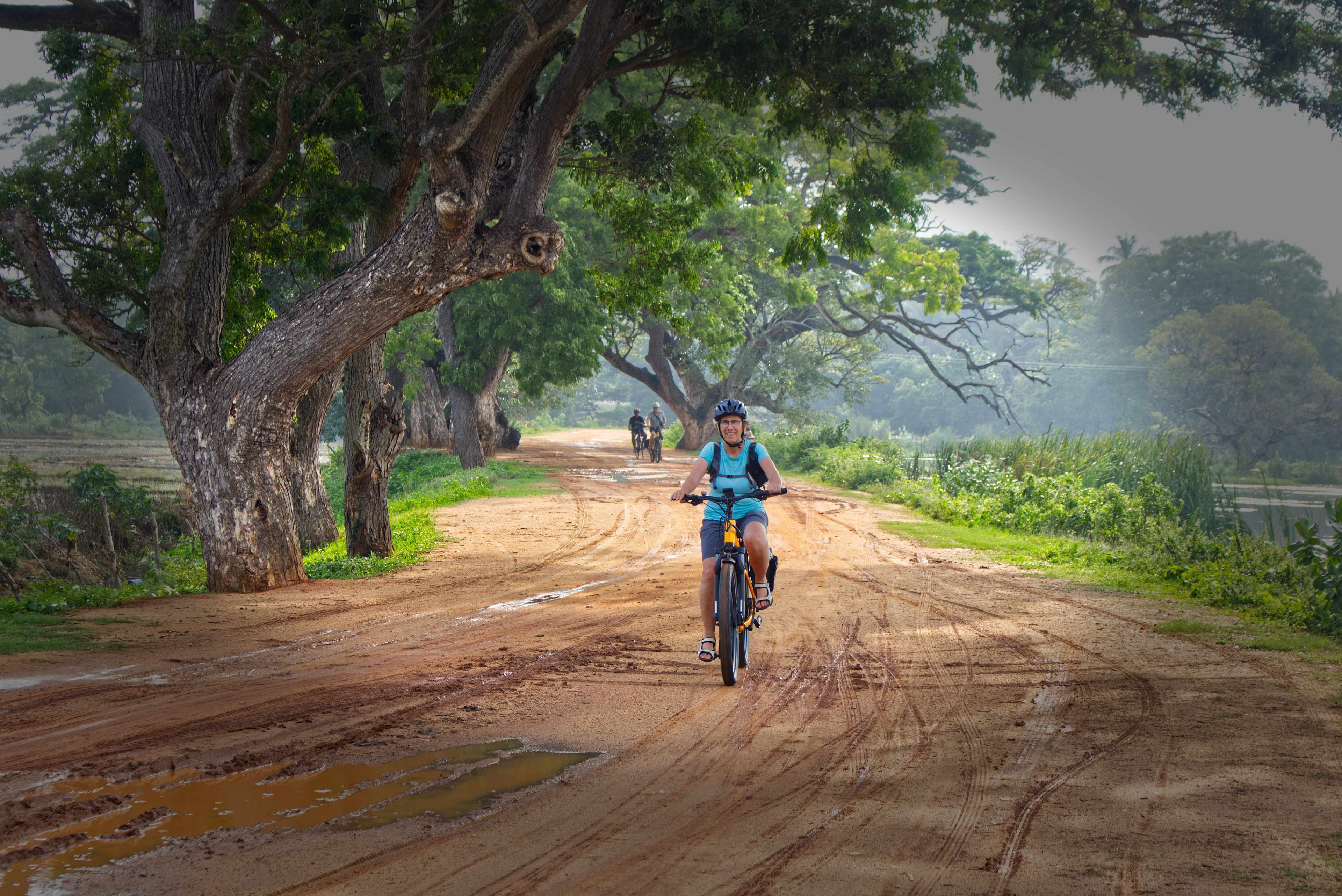 E-Bike Tour in Dambulla