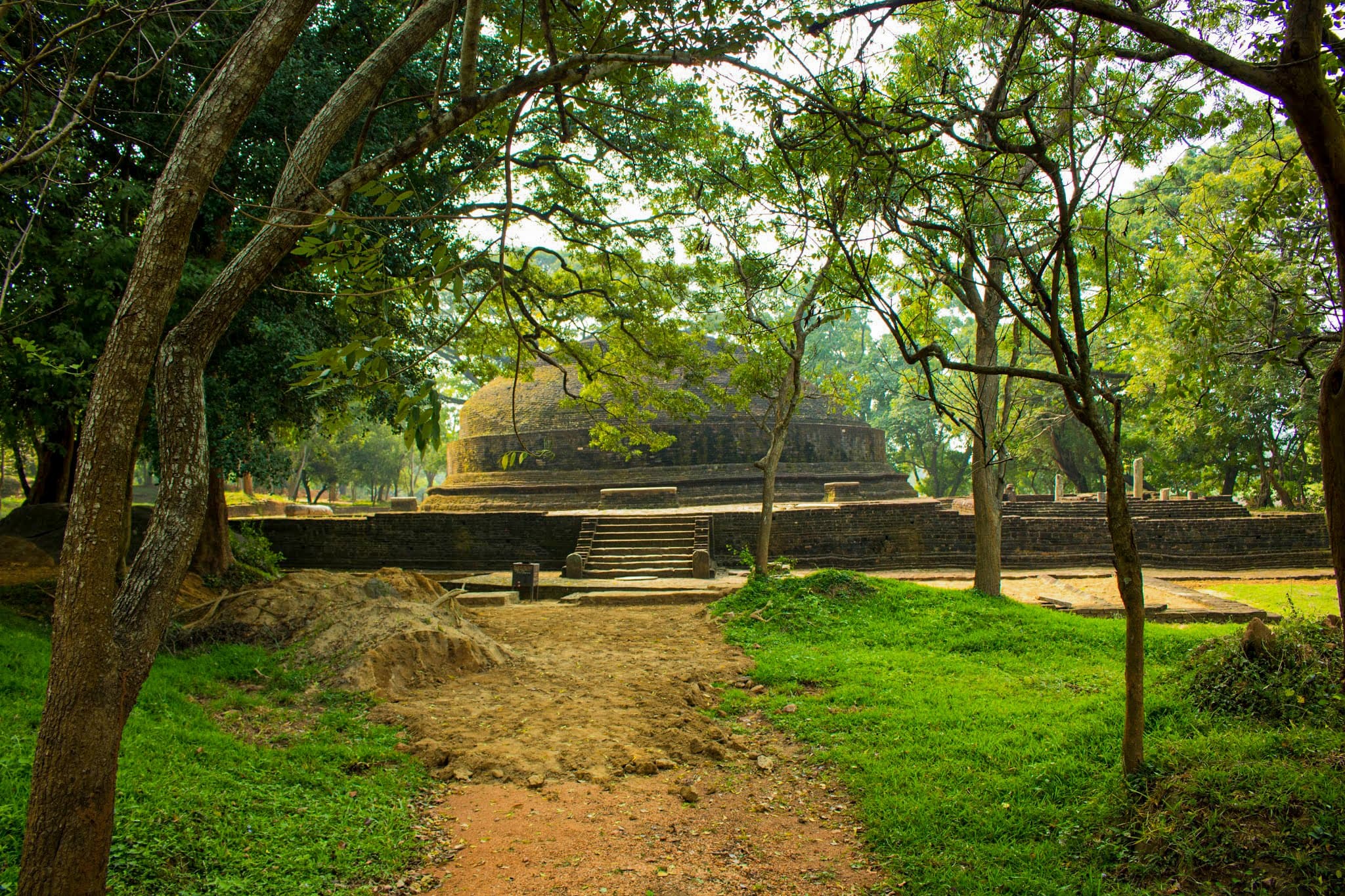 Gallery image 7